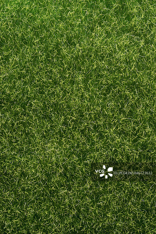 人造草纹理图片素材