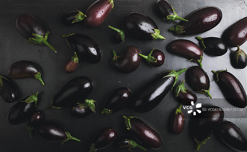 茄子有机农场背景图片素材