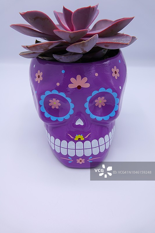 亡灵节人物图片素材