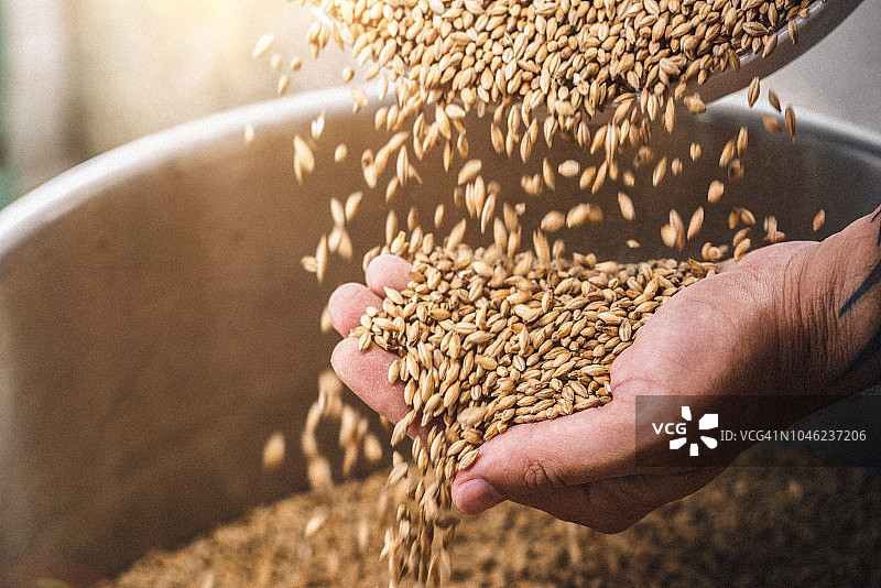 农民拿着谷物图片素材