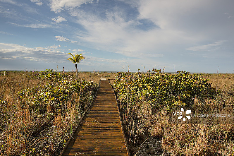 美国佛罗里达州萨尼贝尔岛海滩木板路图片素材