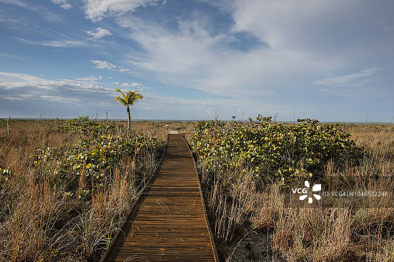 美国佛罗里达州萨尼贝尔岛海滩木板路图片素材