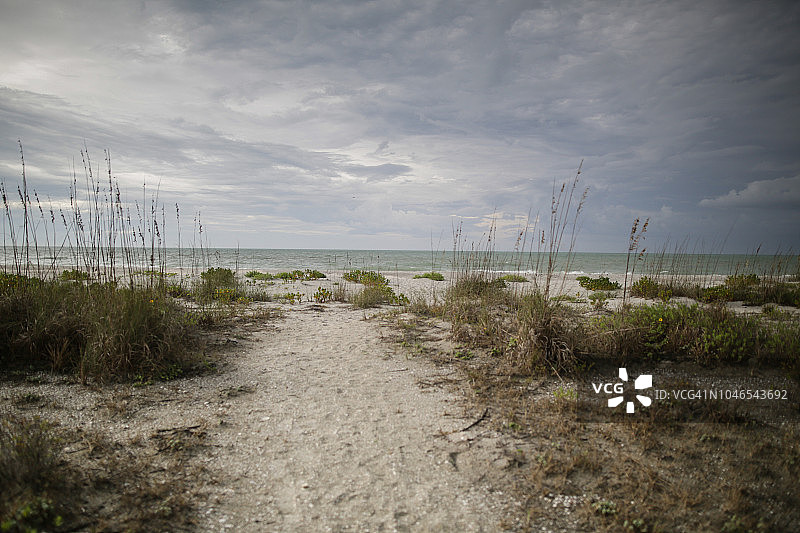 美国佛罗里达州萨尼贝尔岛海滩上的海鸥图片素材