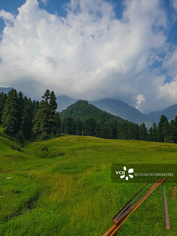 迷失在自然的怀抱中图片素材