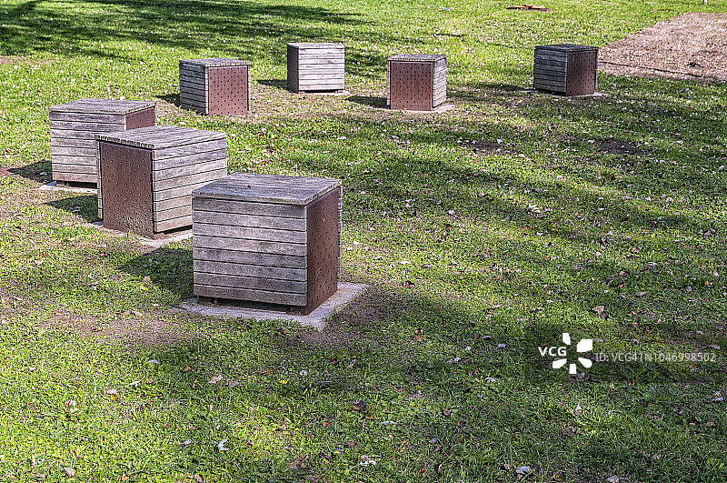 草坪上的七个木块图片素材