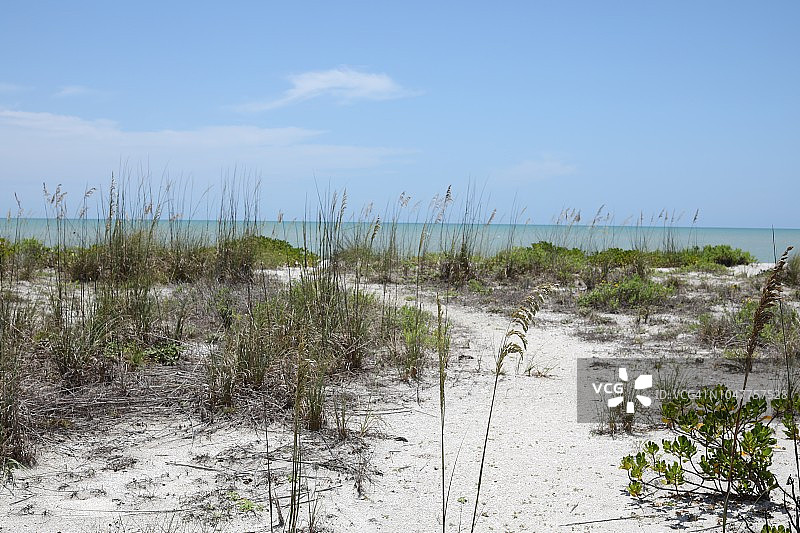 萨尼贝尔岛自然海滩图片素材