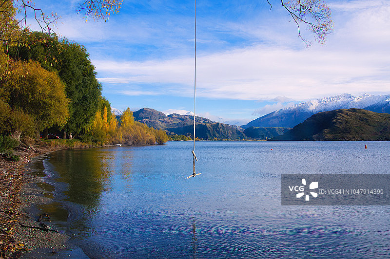 瓦纳卡湖，格兰杜湾岸边附近的秋树和绳索秋千图片素材