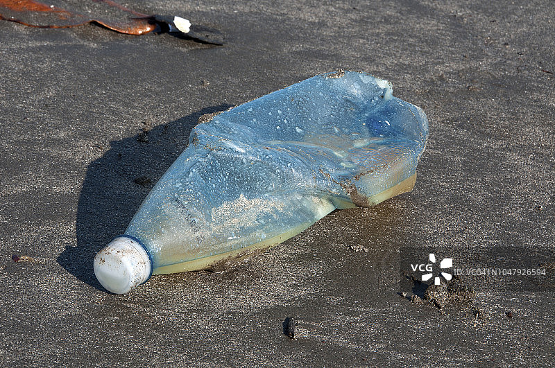 沙滩抛弃塑料瓶图片素材