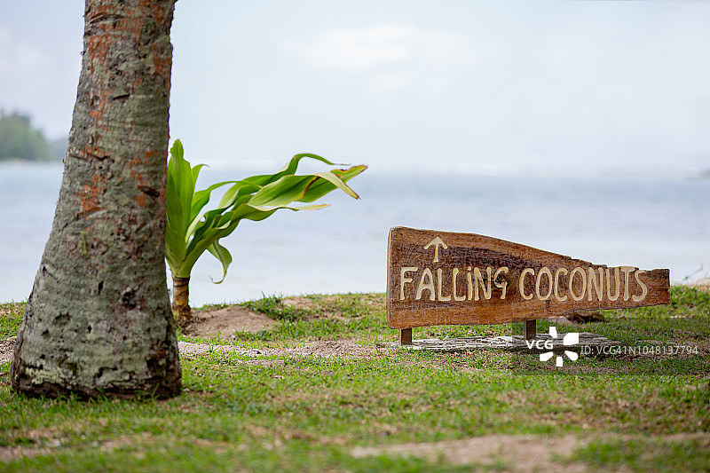 热带岛屿椰子树下的木牌图片素材