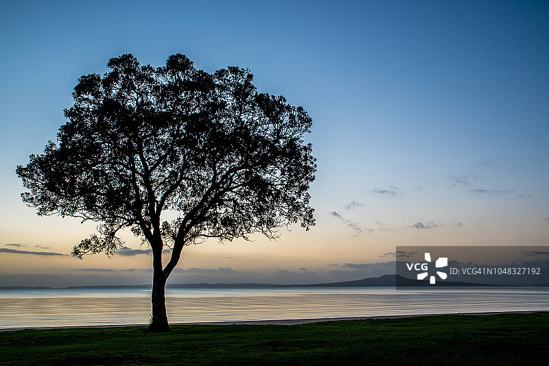 朗伊托托岛日出，沙滩上的树图片素材