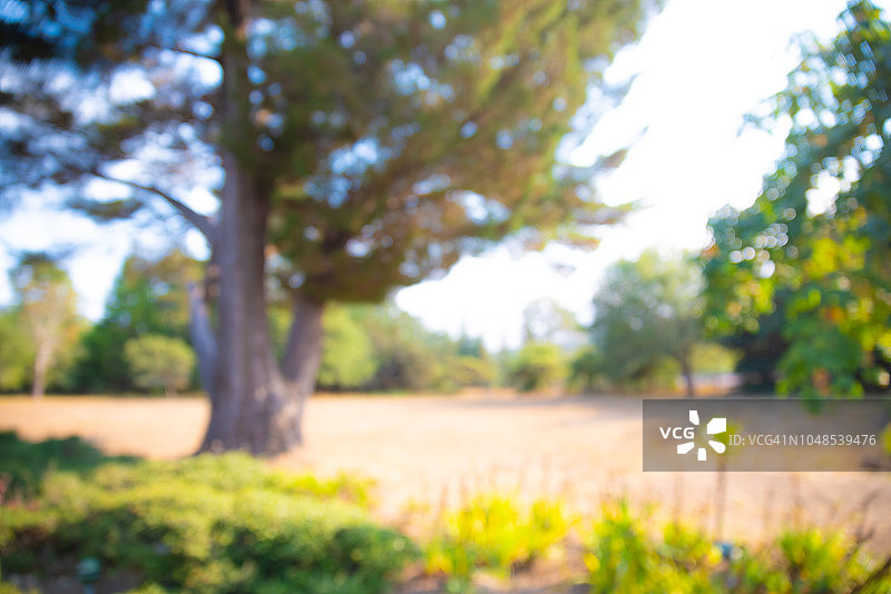 抽象景观图片素材