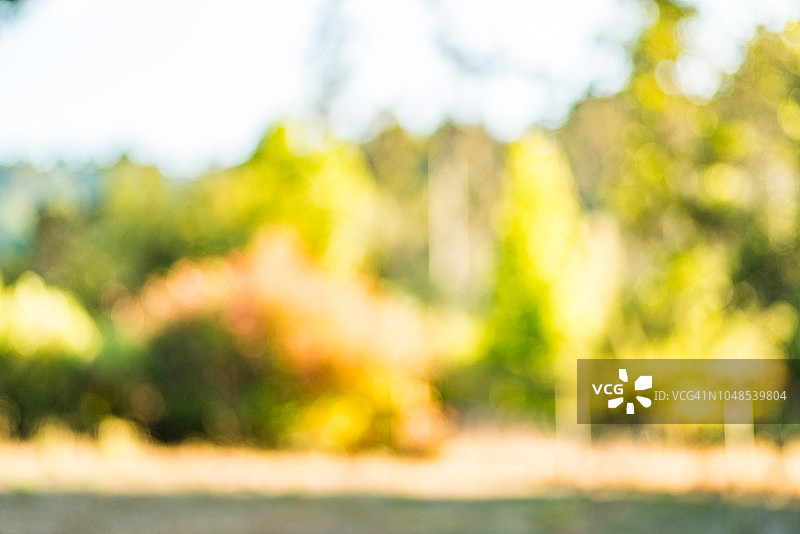 抽象景观图片素材