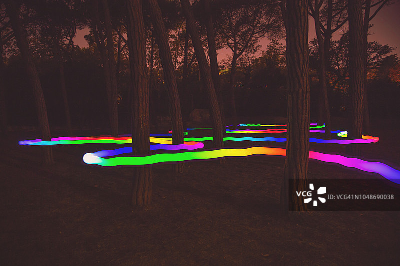 夜晚松树间小路上的彩色光迹图片素材