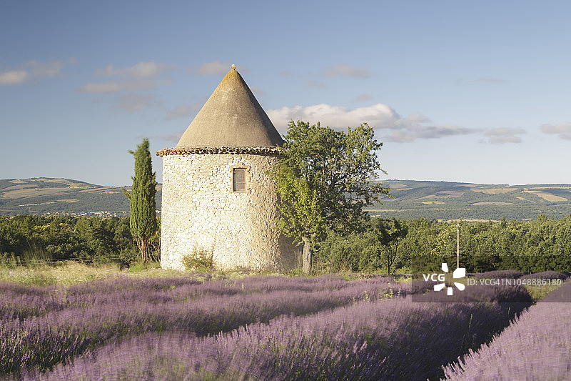 普罗旺斯薰衣草田中的老风车图片素材