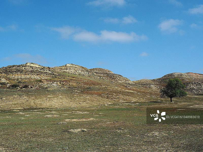 西奥多·罗斯福国家公园环线公路旁的草原犬鼠镇图片素材
