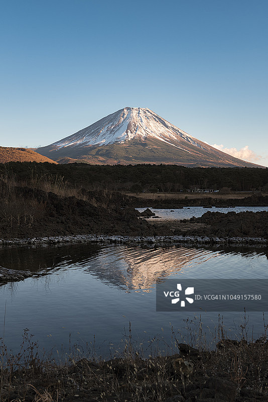 本栖湖中倒映的富士山图片素材