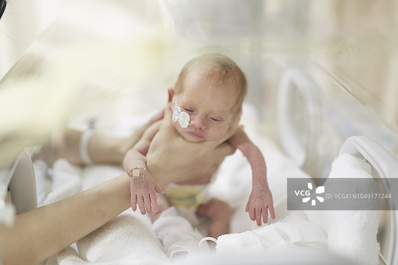 保温箱中的早产女婴图片素材