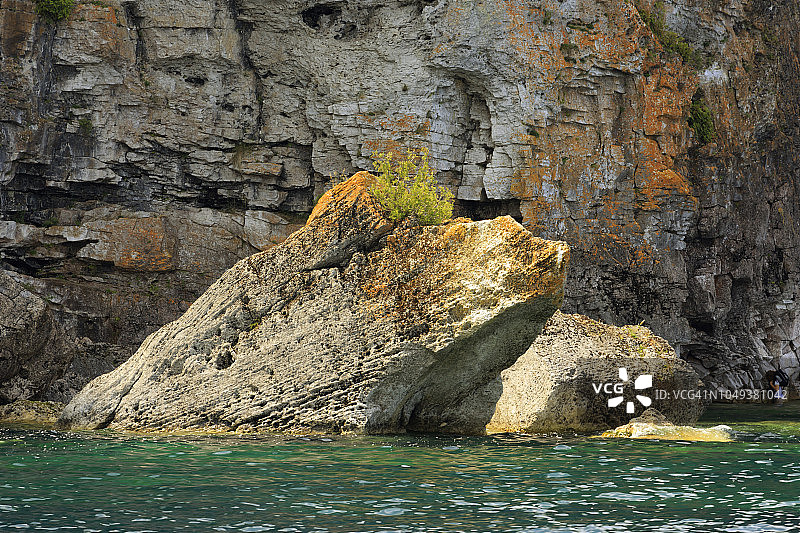 覆盖着乔治亚湾布鲁斯半岛石灰石的地衣图片素材