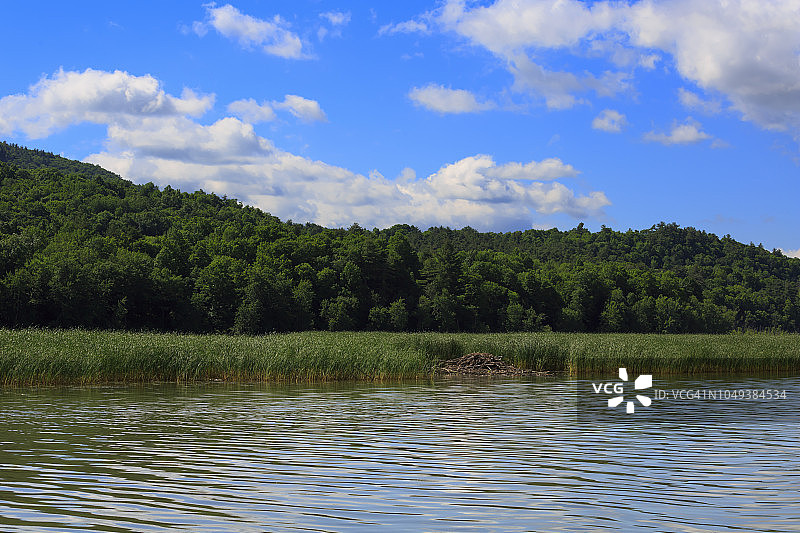 纽约尚普兰湖南部的海狸小屋图片素材