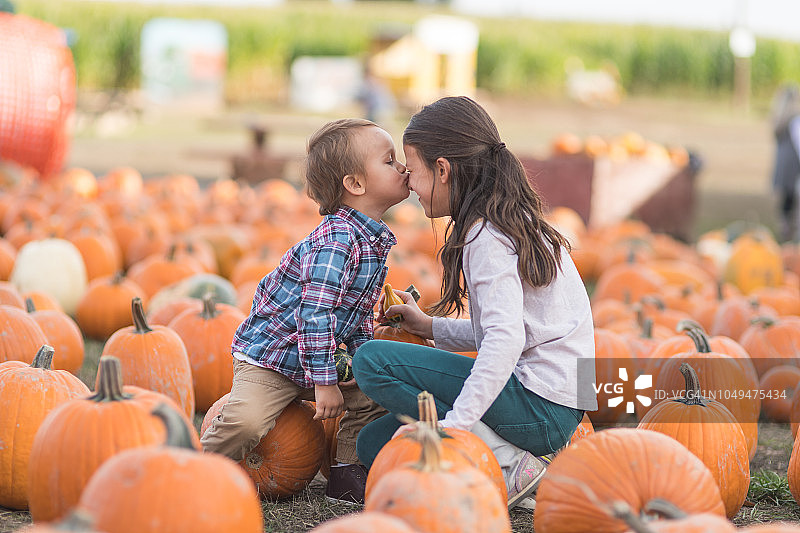 在南瓜地里亲吻姐姐的小男孩图片素材