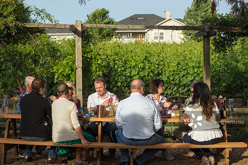 加利福尼亚葡萄园的户外用餐和品酒图片素材