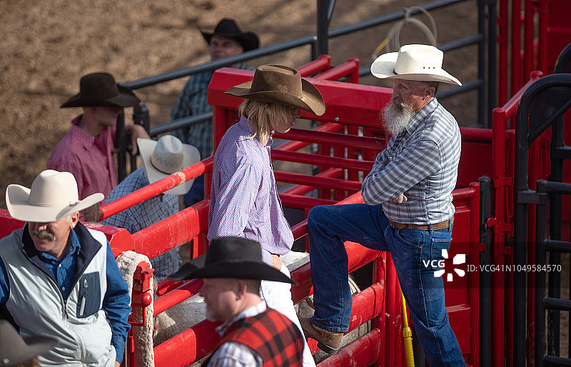 在起动闸的牛仔们图片素材