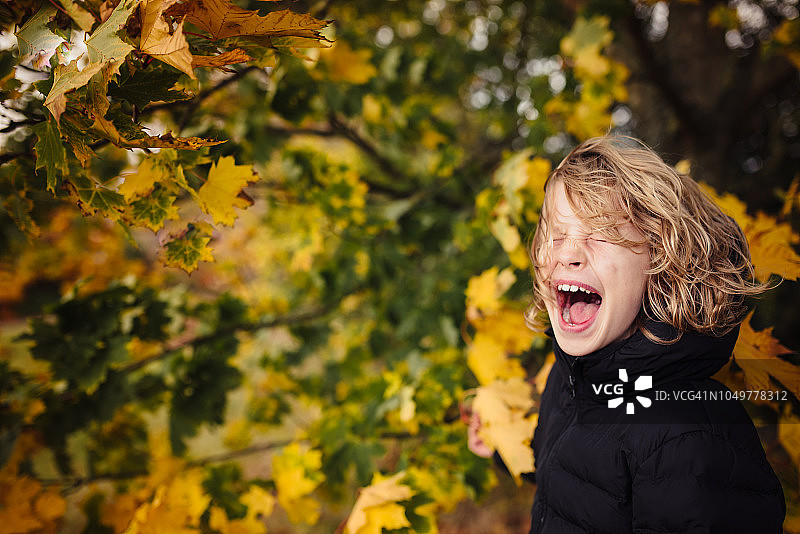 在秋叶前笑着的男孩图片素材