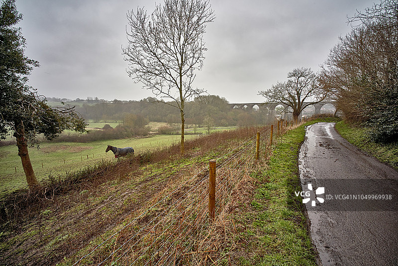 英国萨默塞特郡彭斯福德桥附近的田野里的马，早春时节图片素材