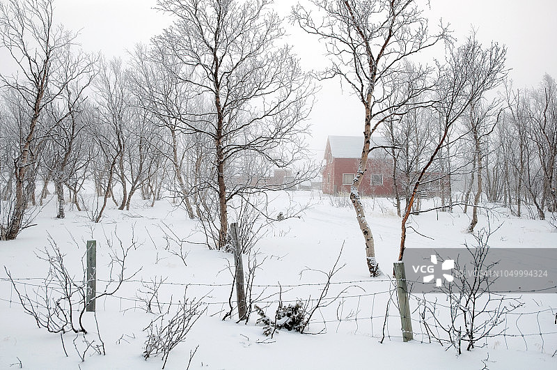 挪威北部霍尔门的树木和木屋上的雾凇图片素材