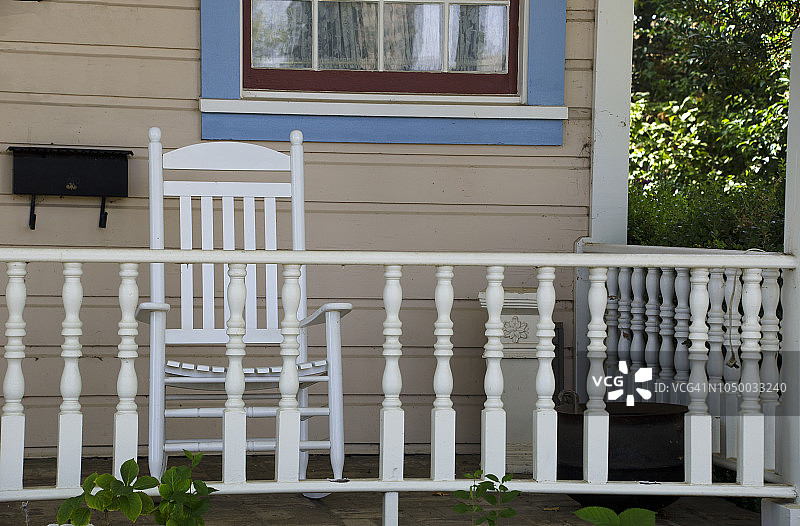 红崖棕榈树街景图片素材