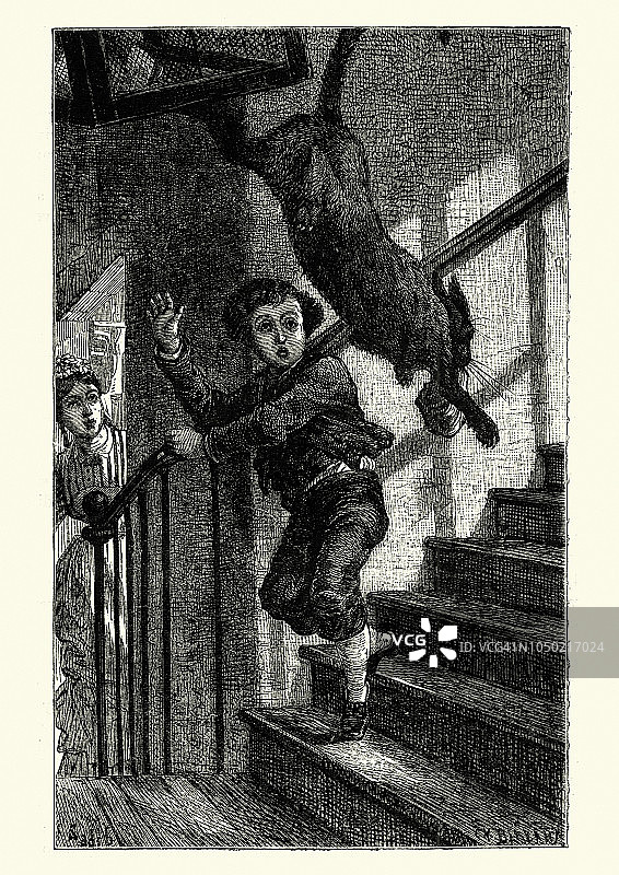 男孩被猫吓了一跳图片素材