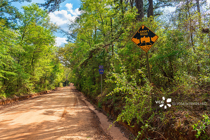 佛罗里达州莱昂县的林荫路图片素材