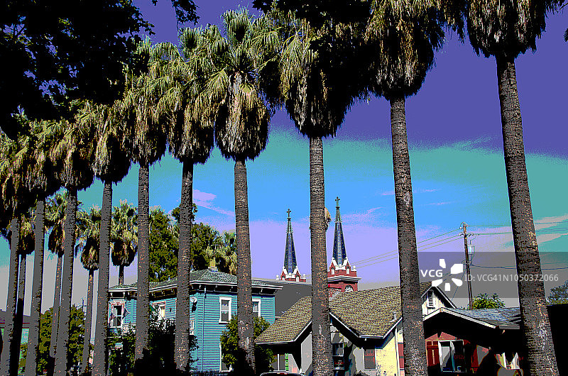 红崖棕榈树街景图片素材