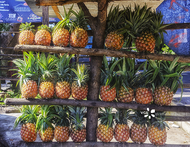 科潘遗址图片素材