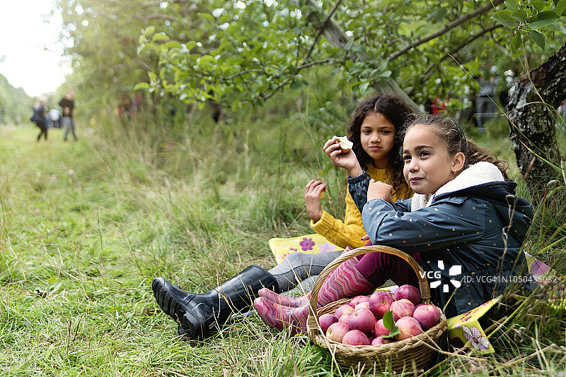 小女孩们在果园里吃苹果图片素材
