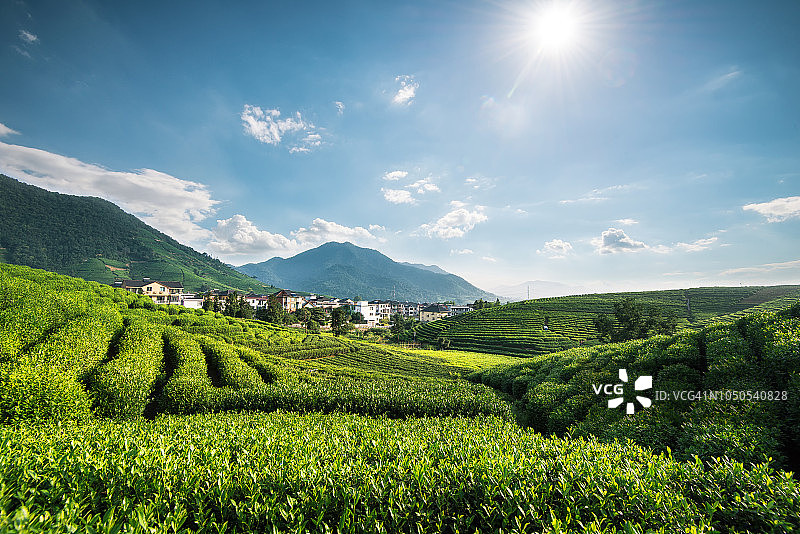中国浙江省杭州市图片素材