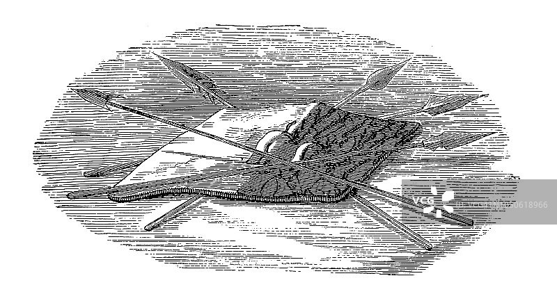 古董盾牌和长矛图片素材