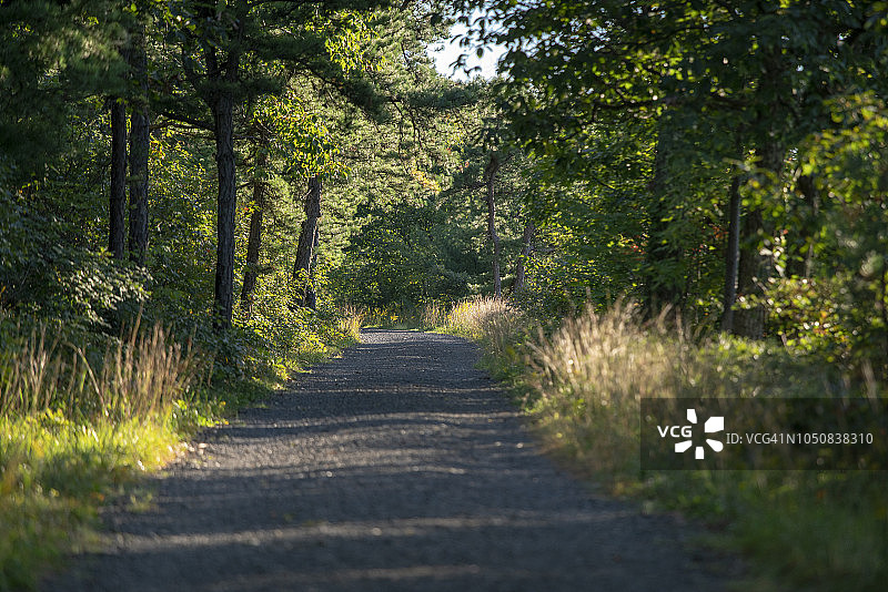 莫宏克保护区小径图片素材