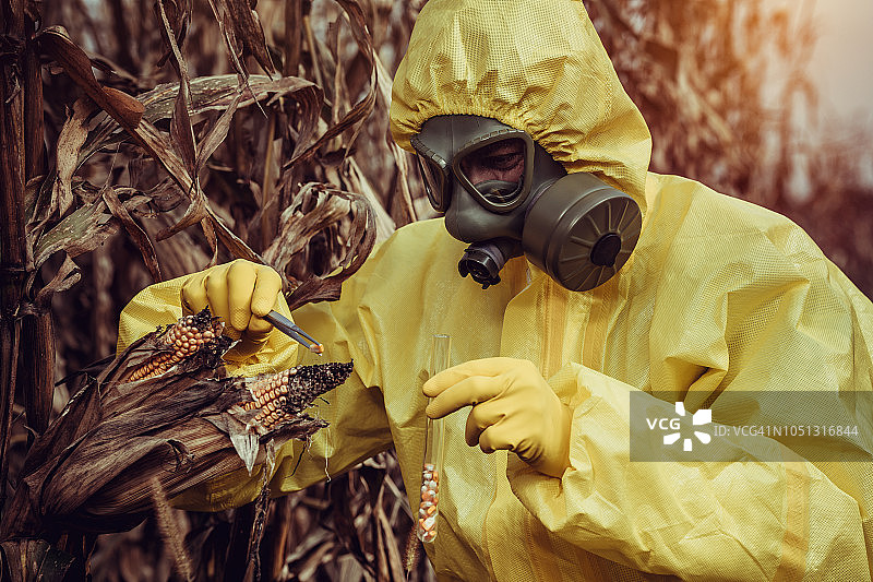 转基因食品图片素材