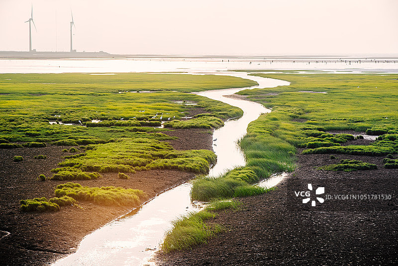 中国台湾台中市高美湿地的金色日落图片素材