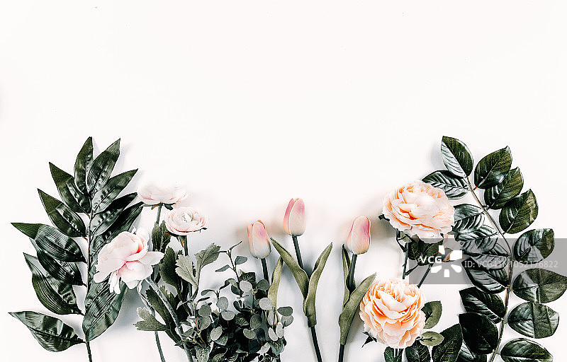 白色背景上的花卉图案图片素材