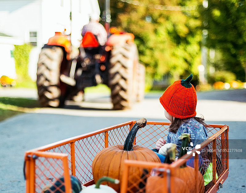 采摘南瓜图片素材