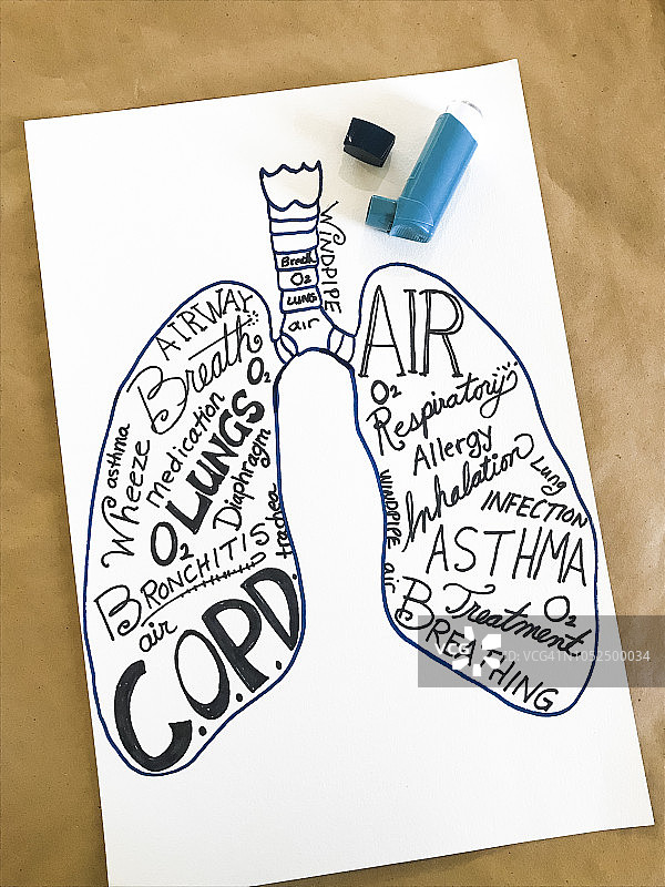 手绘肺部图片素材