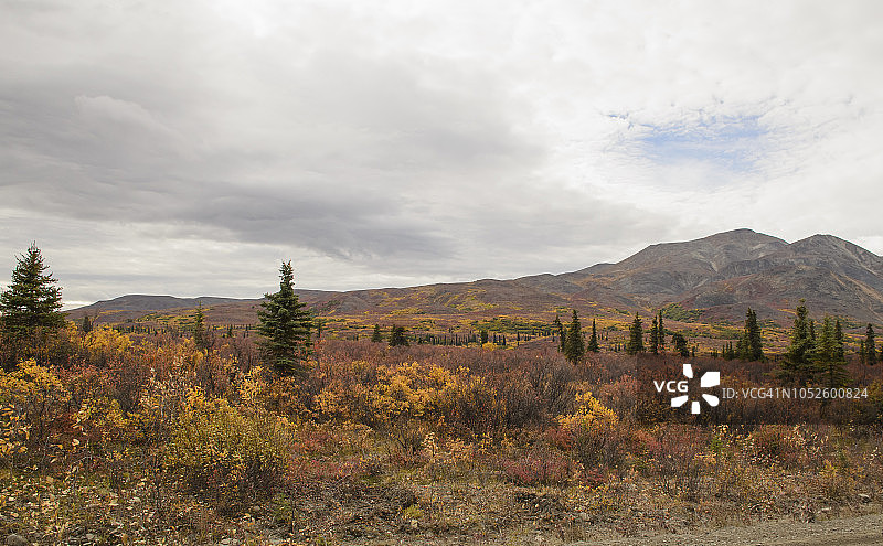 阿拉斯加德纳里公路美丽的雪山景色图片素材