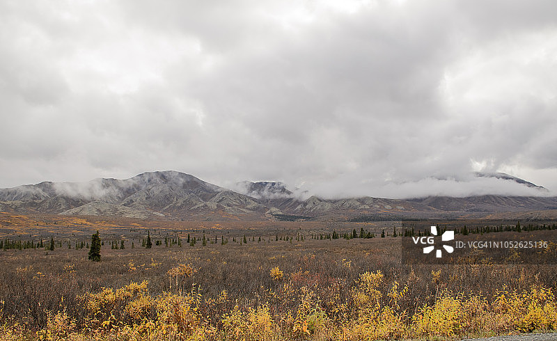 秋季德纳里公路的景色图片素材