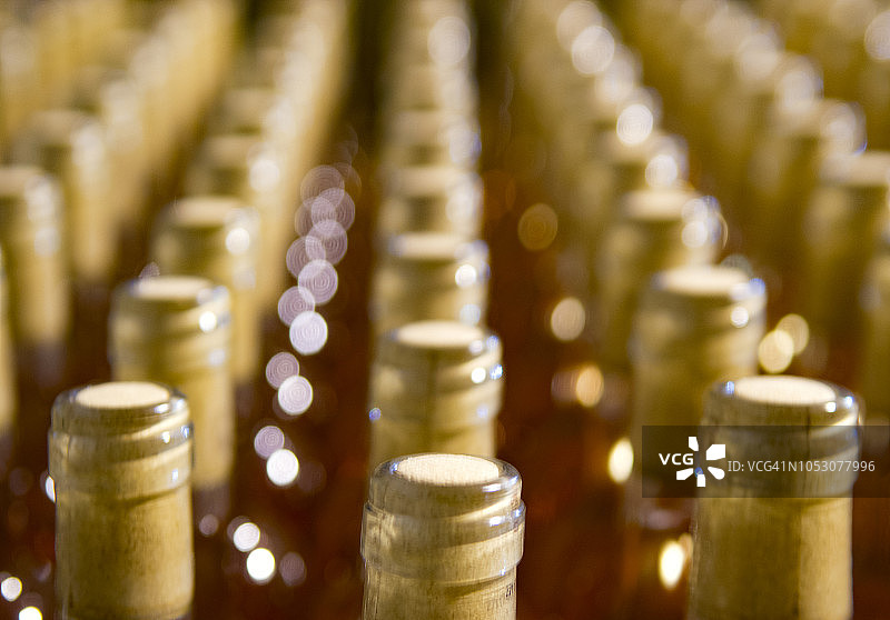 葡萄酒瓶在成熟过程中的瓶架图片素材