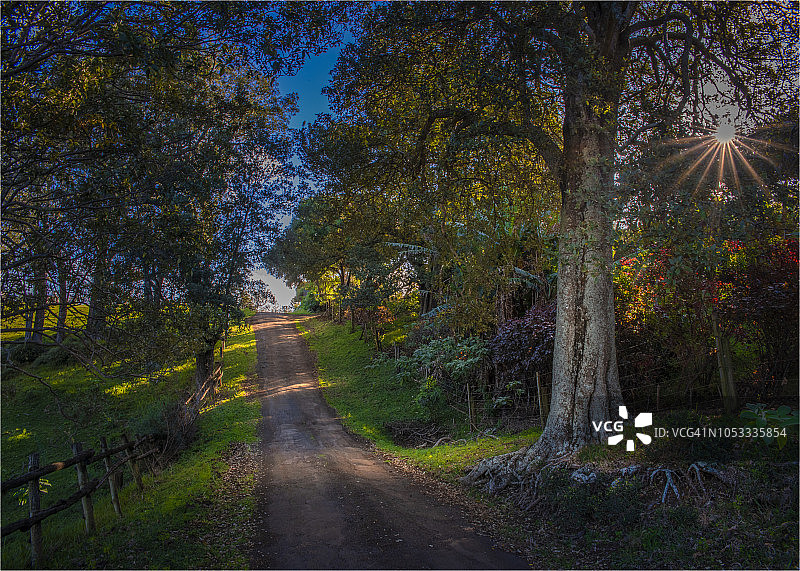 南太平洋诺福克岛乡村地区的比夫斯迪克路上的午后光线图片素材