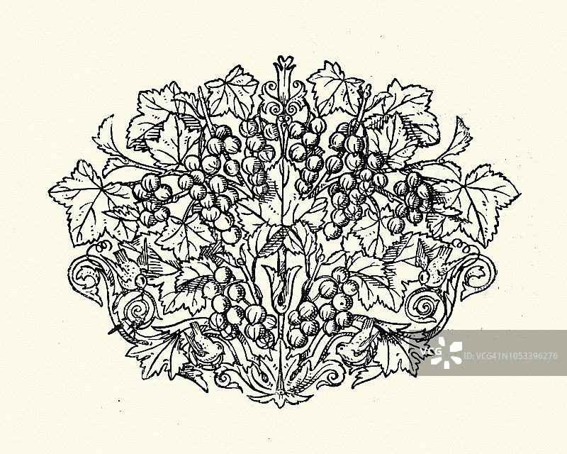 树枝、浆果、鸟类设计元素，19世纪风格图片素材