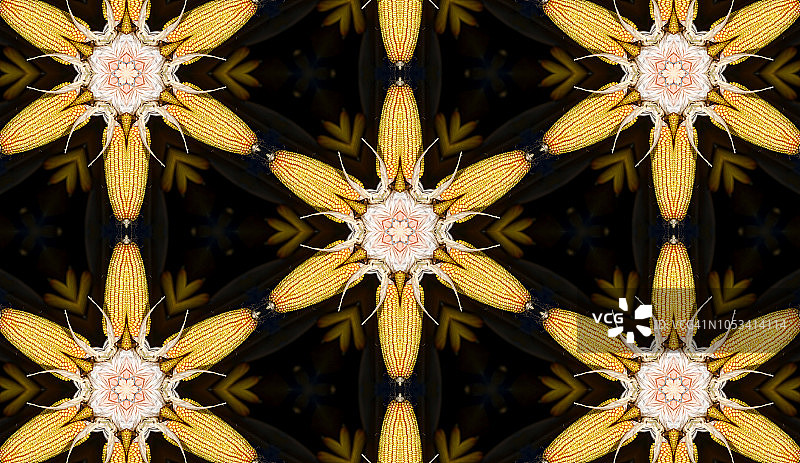 玉米花图案图片素材