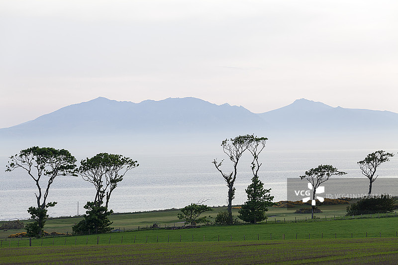 创意简报-自然与野生动物图片素材